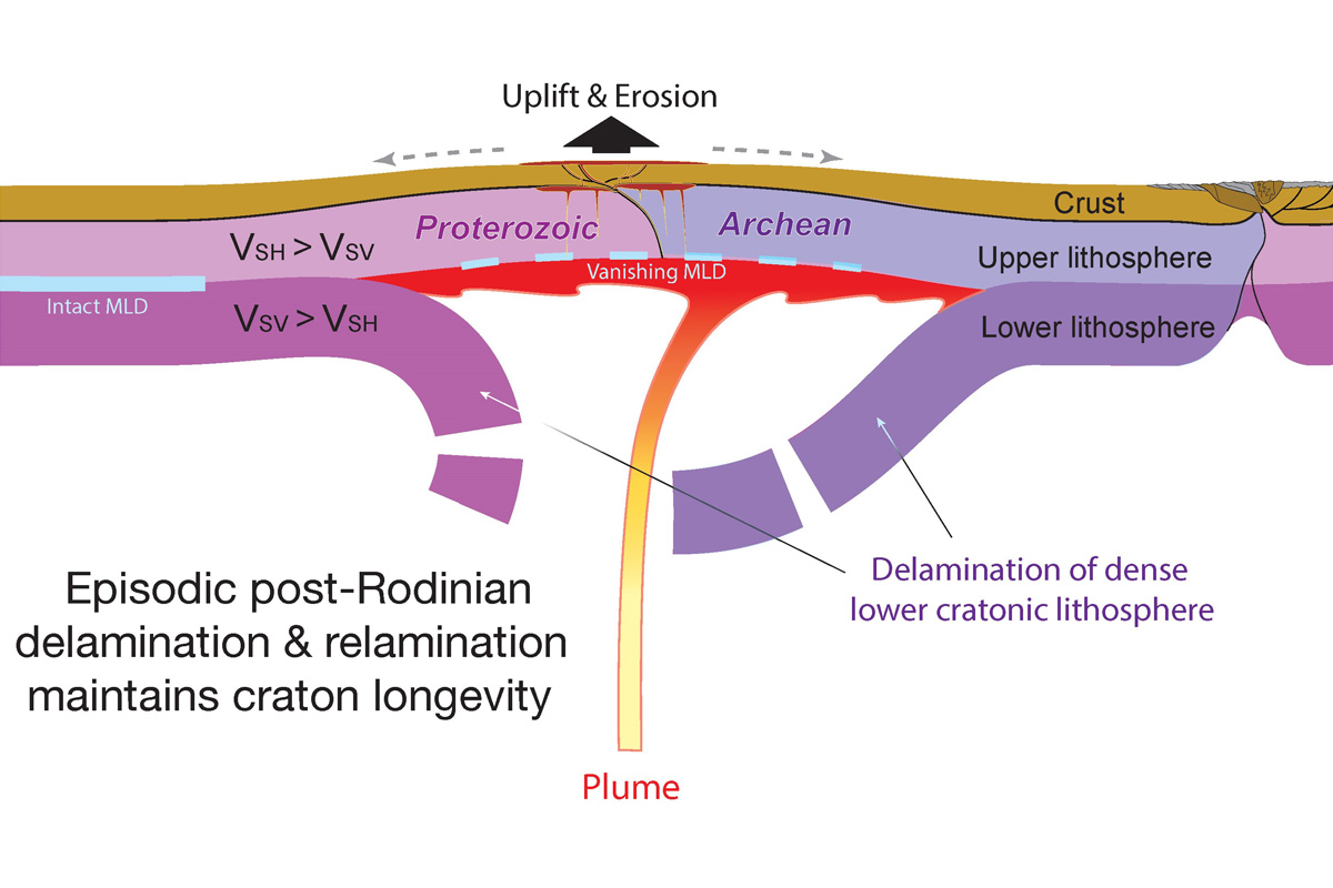 In this hypothetical cross-sectional view of the Earth’s crust and mantle during the breakup of the supercontinent Rodinia, a mantle plume initiates the peeling away process of the lower mantle.