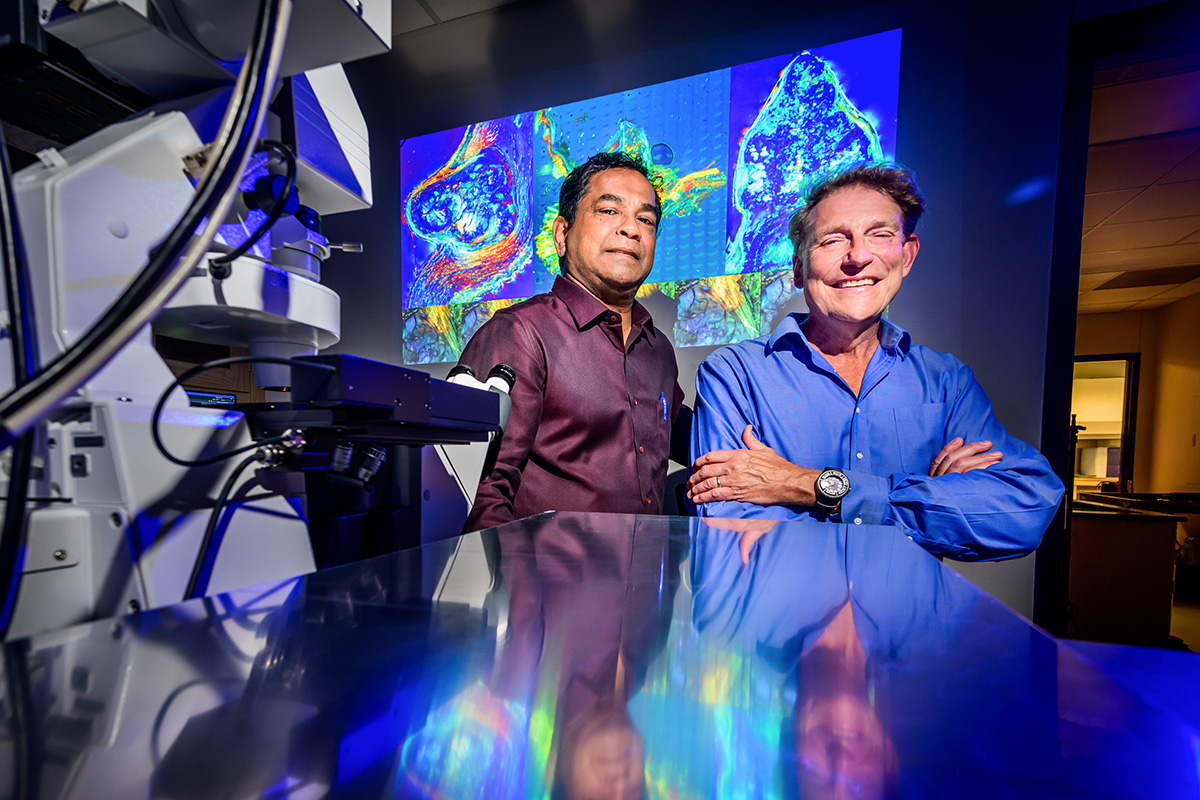 Heart of Stone: New Work Investigates Cardiovascular Disease ...