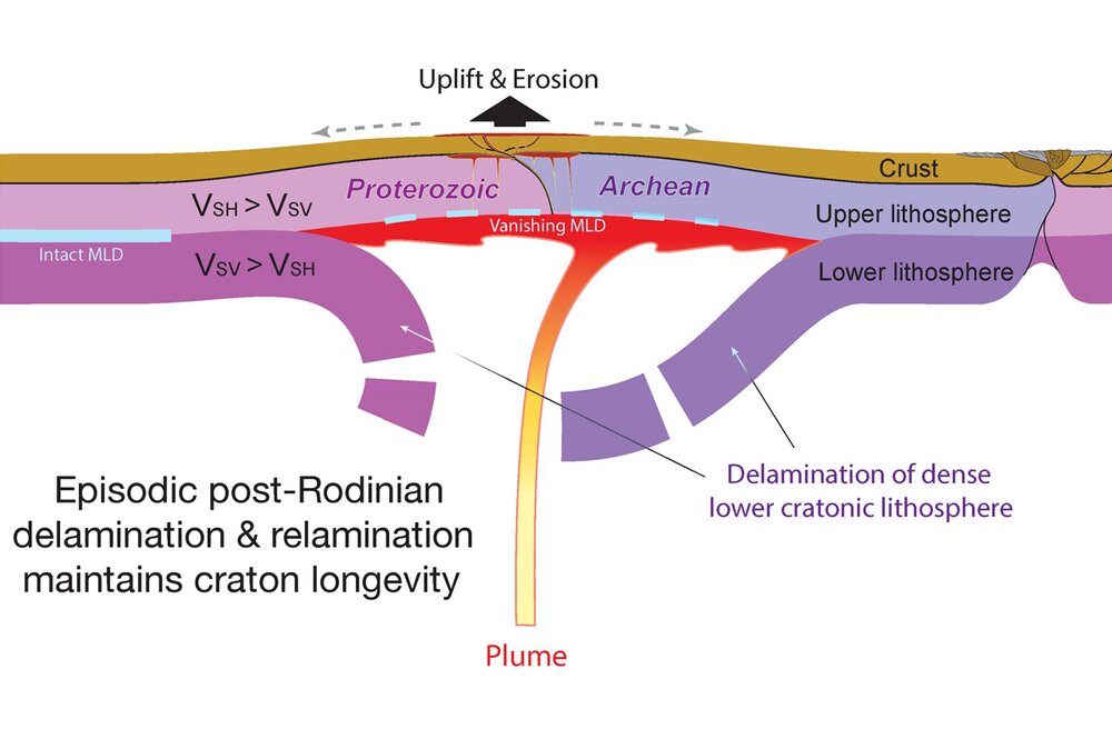 In this hypothetical cross-sectional view of the Earth’s crust and mantle during the breakup of the supercontinent Rodinia, a mantle plume initiates the peeling away process of the lower mantle.