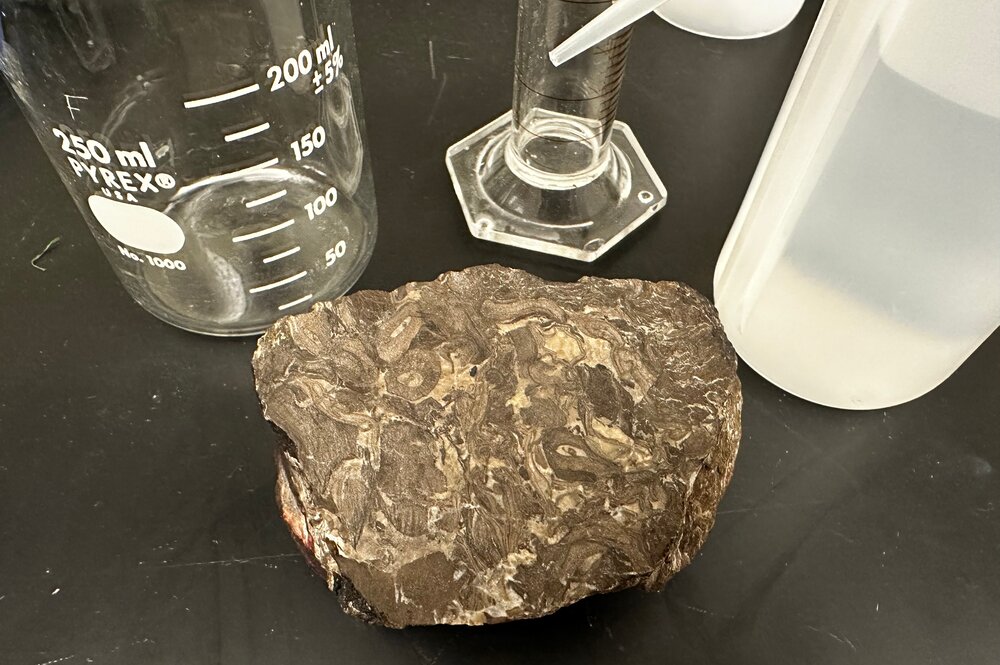 Photo of a coal ball