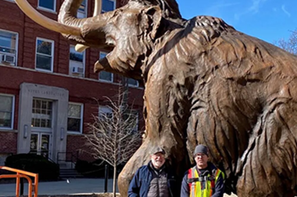 Picture of the Mammoth being installed