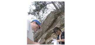 Students looking at rock outcrops