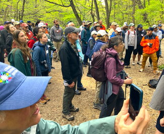 A group of people looking at something out of frame. One person is taking a photo.