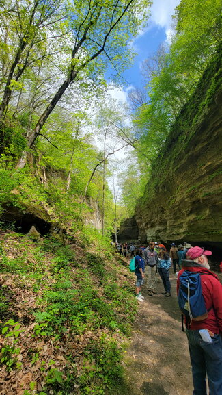 A group of people walking towards a waterfall
