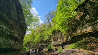 Tall sandstone canyon walls with green trees on the rim
