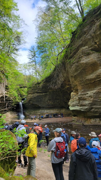 A group of people walking through a canyon with trees on the rim