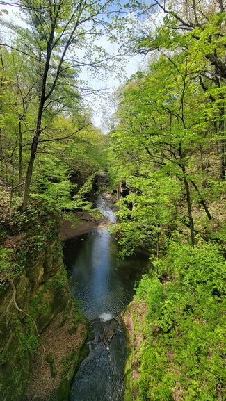A lush canyon with a creek in the middle