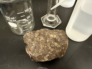 Photo of a coal ball