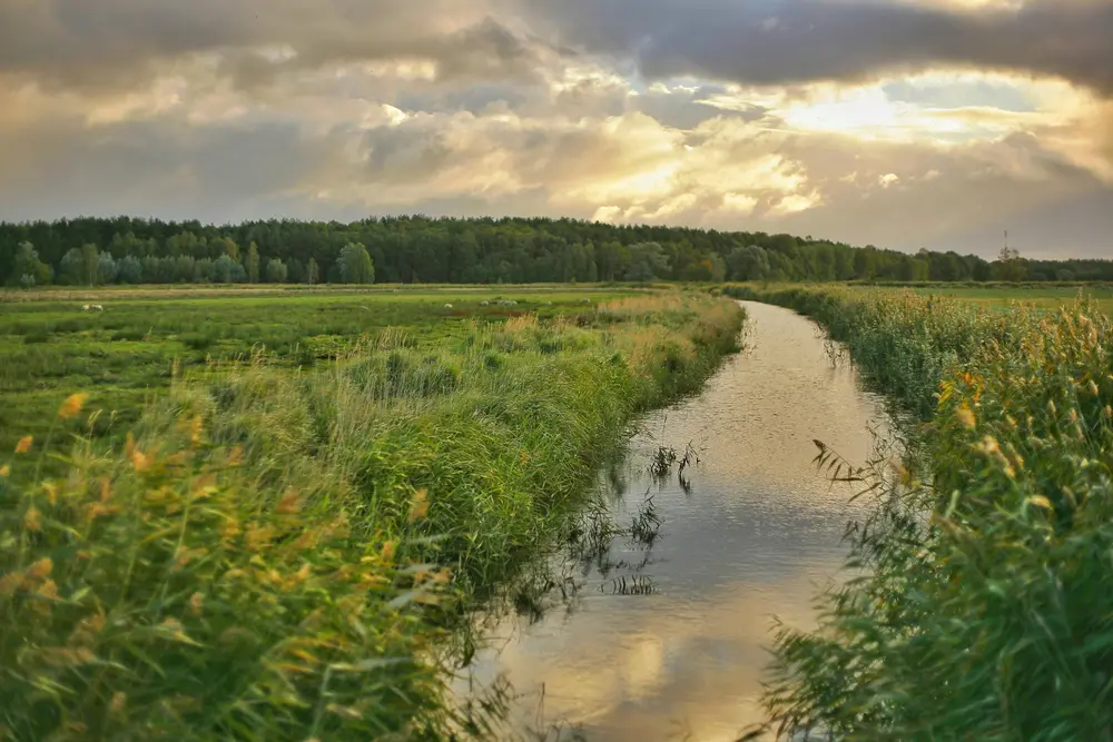 A river running through a farm field.