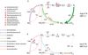 Nitrogen Pathways