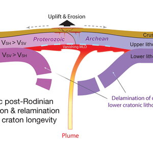 In this hypothetical cross-sectional view of the Earth’s crust and mantle during the breakup of the supercontinent Rodinia, a mantle plume initiates the peeling away process of the lower mantle.
