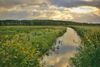 A river running through a farm field.